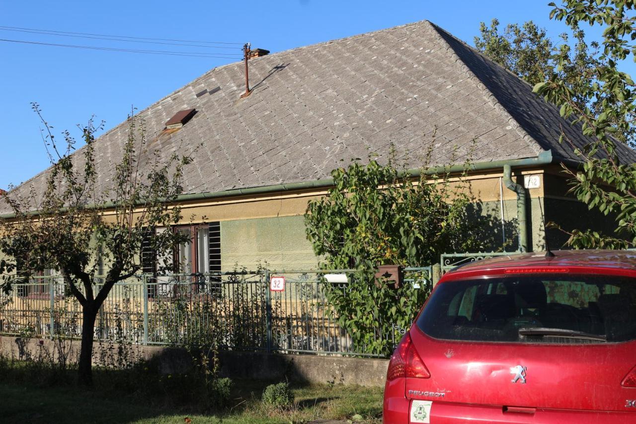Gasthaus Vinyl House Strekov Exterior foto
